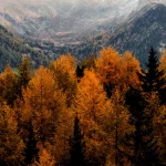 Blog article